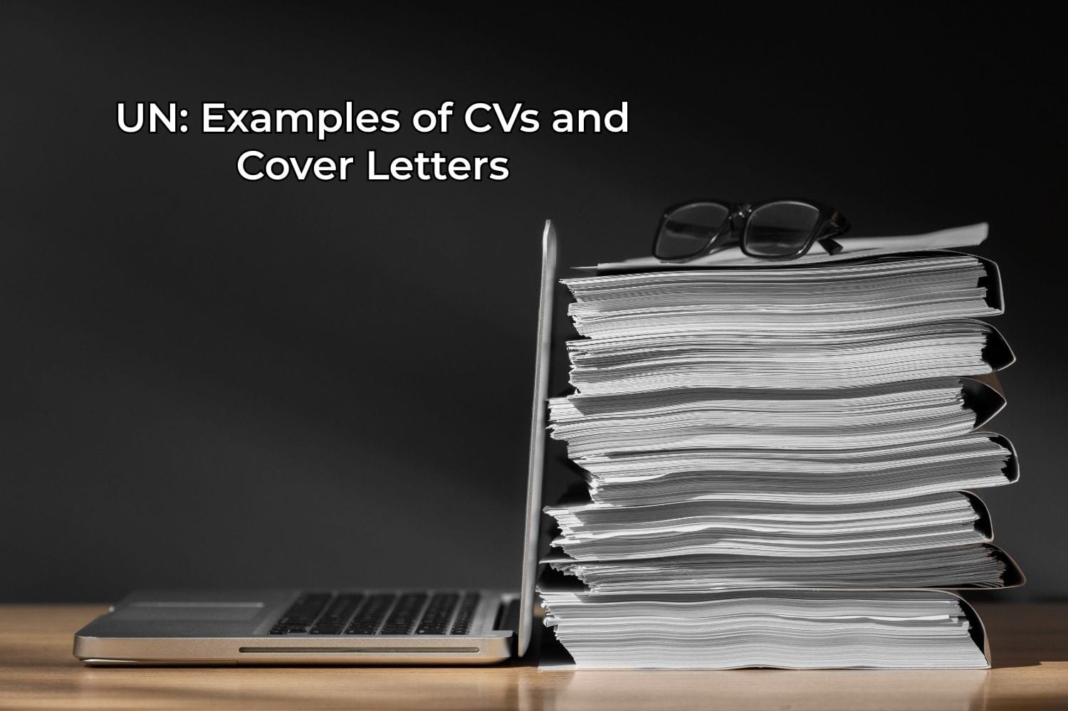 UN: Examples of CVs and Cover Letters