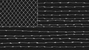 A New Black Flag for Amerikka
