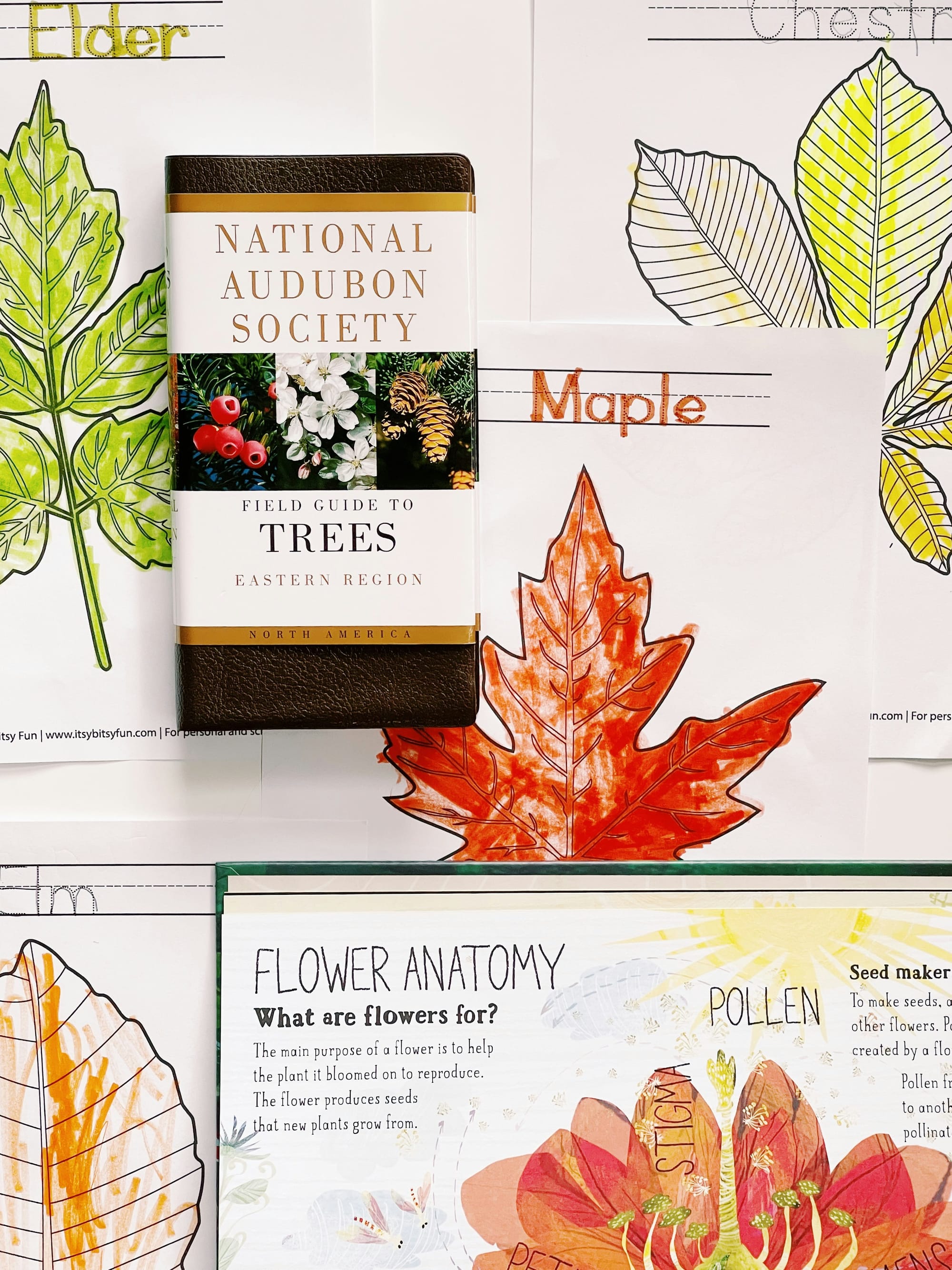 Heartfelt Gift Ideas for New Homeschool Mamas: Perfect for Co-ops and Mom Groups
