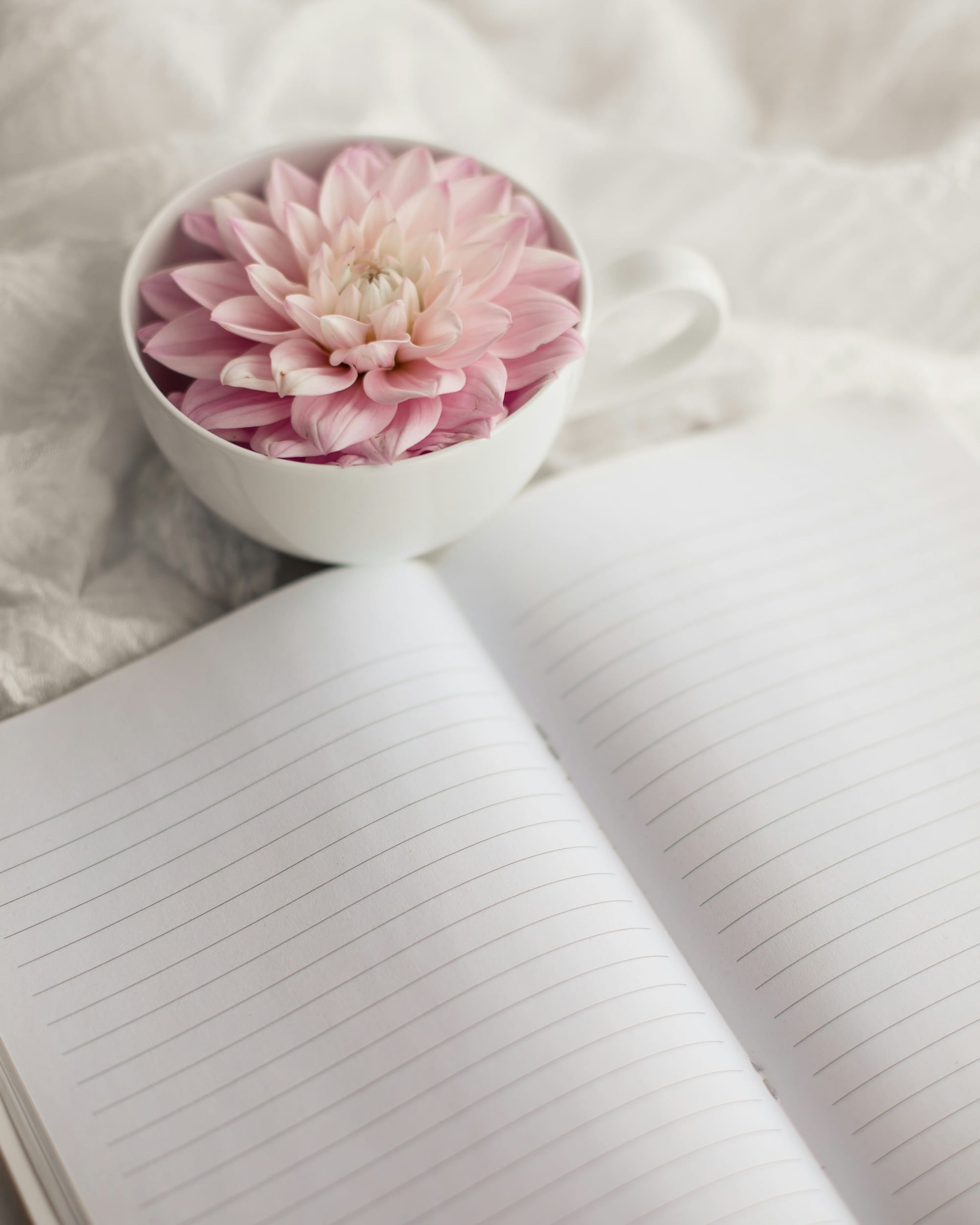 Heartfelt Gift Ideas for New Homeschool Mamas: Perfect for Co-ops and Mom Groups