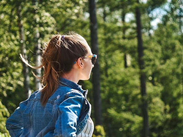 The Homeschool Mom’s Journey: What to Expect Along the Way