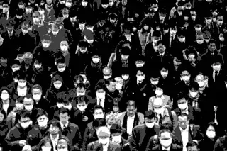 Totalitarianism and the Covid Cult