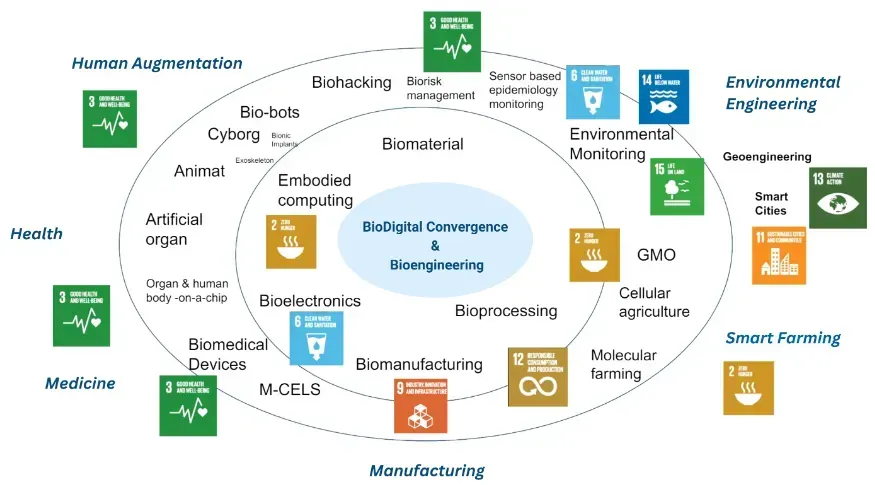 Sabrina Wallace, the Global Information Grid, and Electromagnetic Warfare