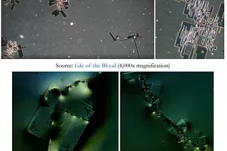 What is in the so-called COVID-19 “vaccines”? Evidence of a Global Crime Against Humanity - Video Presentation