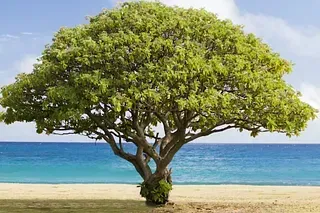 Interview with Paul Hellier, July 22, 2025