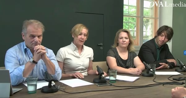 Why Reiner Fuellmich Was Guilty - Part 1