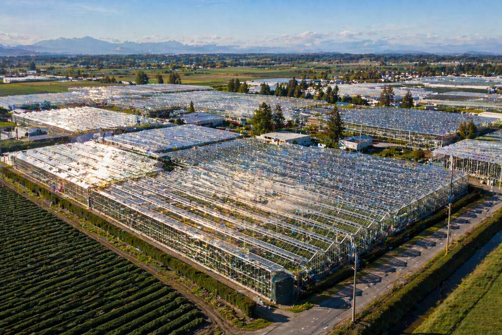 📰 How Big Is Delta’s Greenhouse Industry Today?
