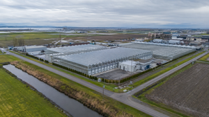 What Does the Greenhouse Industry Mean for Delta’s Tax Base?