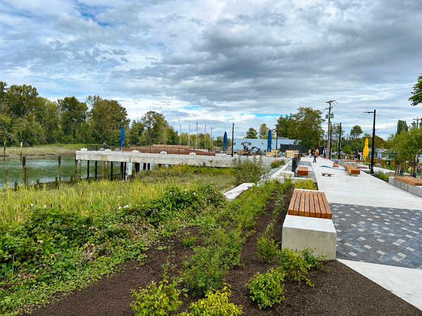 What Exactly Is Happening on the Ladner Waterfront?