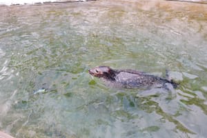 天気晴朗なれど波高し