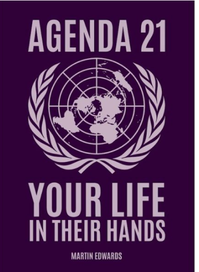 Wrapping up 2024 and a look into 2025