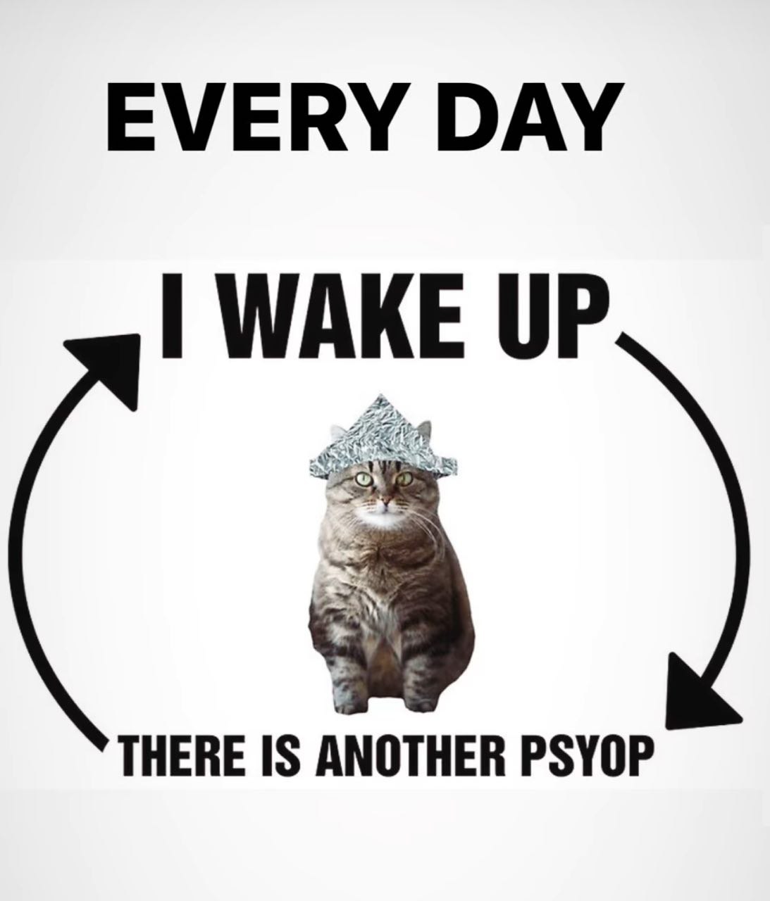 Wrapping up 2024 and a look into 2025