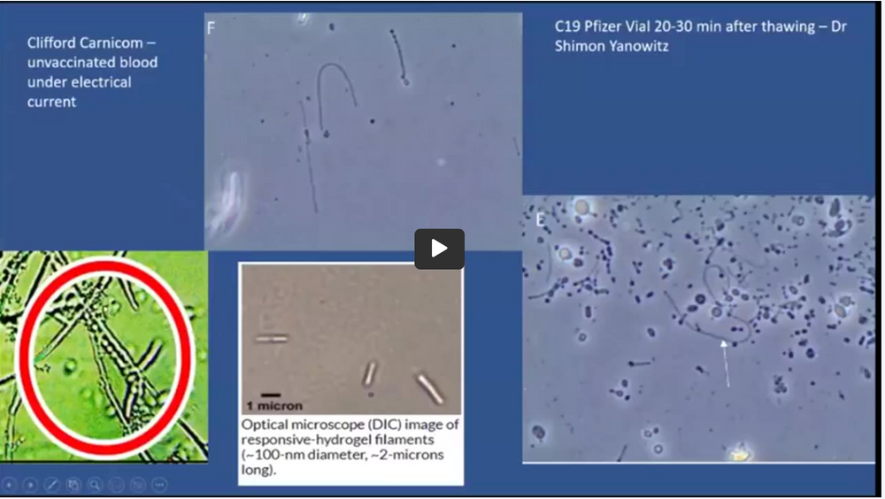 EXISTENTIAL Threat to Humanity: Bioengineering prior and during the C19 era