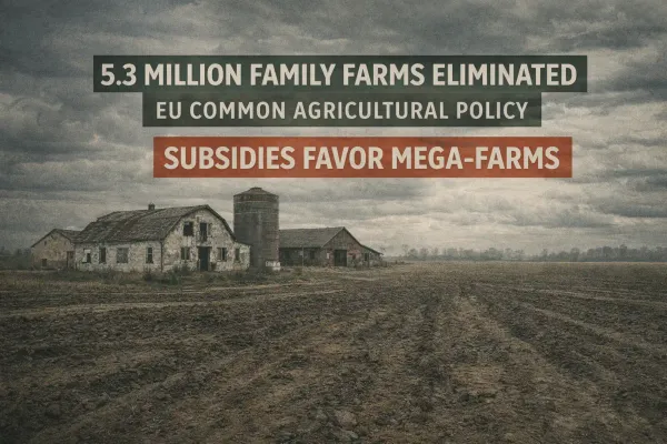 Empty farmland with abandoned farm buildings representing 5.3 million family farms eliminated by EU Common Agricultural Policy subsidies favoring mega-farms