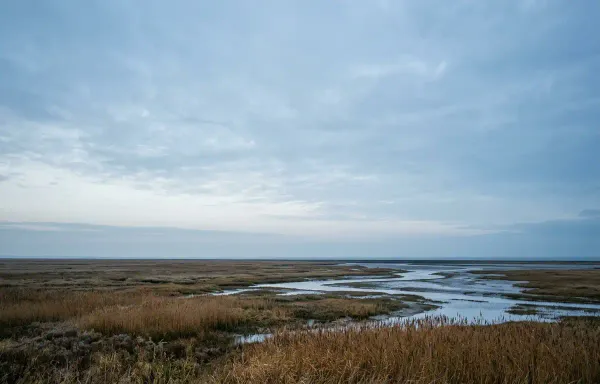 A wide empty sky at dawn over a flat coastal landscape in pale grey and cold blue, with a low horizon of reeds and water. No aircraft or people are visible.