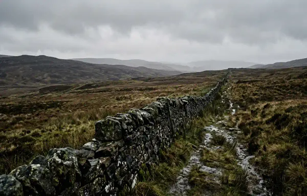After the Wall: How 15 Border Walls Became 70