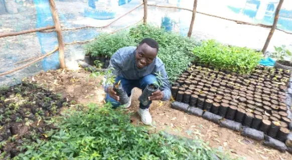 Climate Pressure Mounts in Kenya’s Refugee Heartland