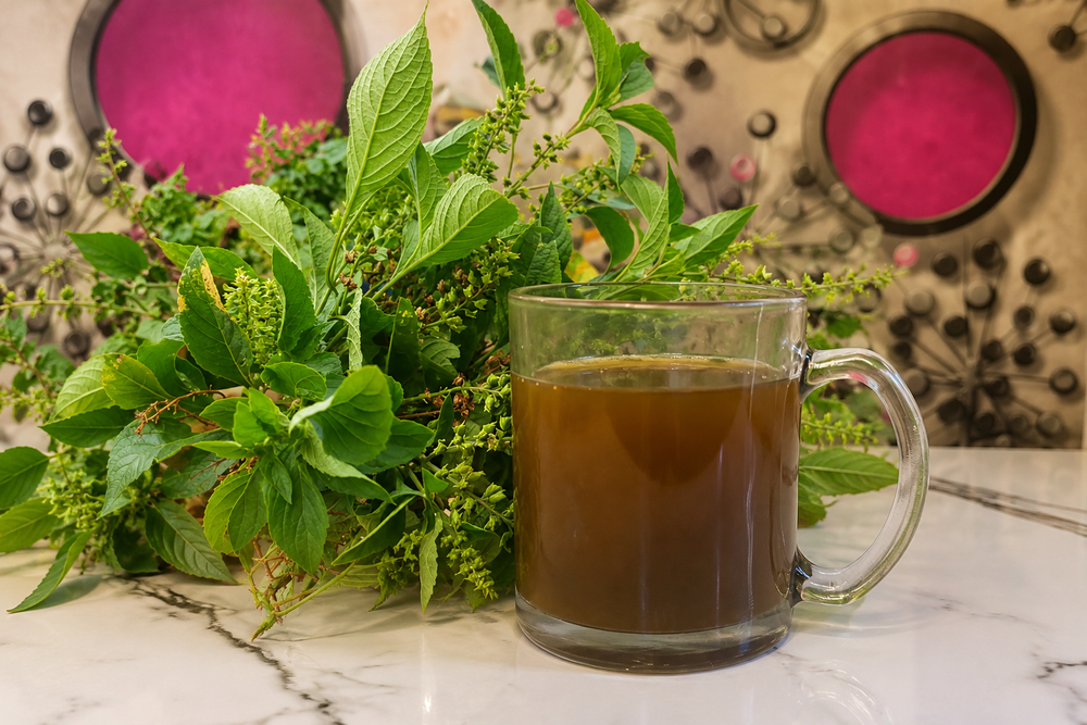 Scent Leaf Tea: A Traditional Herbal Brew Supporting Everyday Wellness
