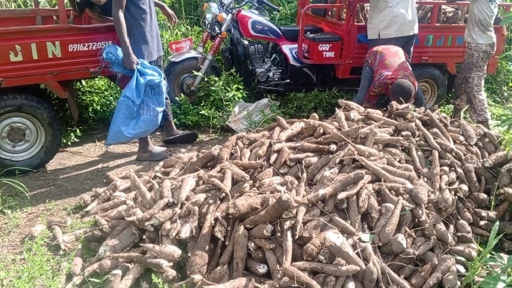 From Cassava Farms to Hope: Refugee-Led Bakery Project Seeks to Transform Lives in Adagom