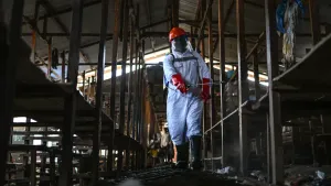 Uganda Seals Congo Border as Rare Ebola Outbreak Sparks Regional Alarm