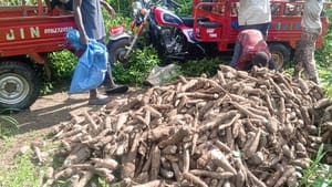 From Cassava Farms to Hope: Refugee-Led Bakery Project Seeks to Transform Lives in Adagom