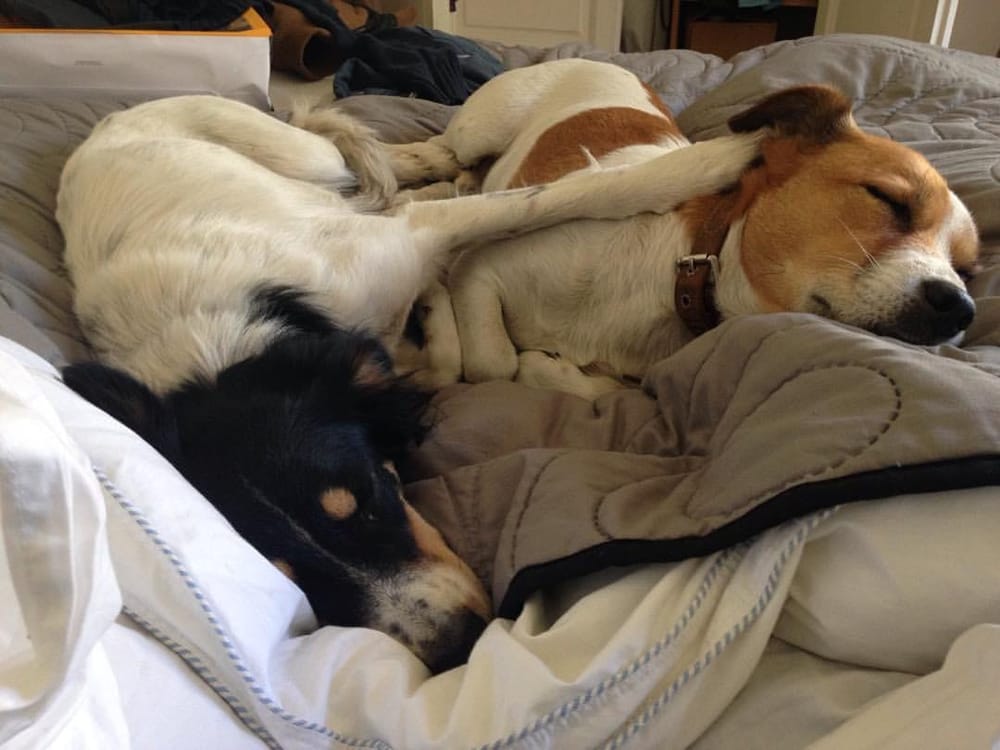 Cómo funcionan las reservas en el Chat 💬