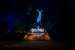 Magic After Dark in Stanley Park