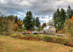 Rural Langley's Secret Tech Revolution