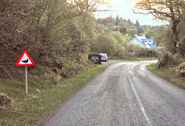 Speedy skiffs, stupendous scones and a sign mystery