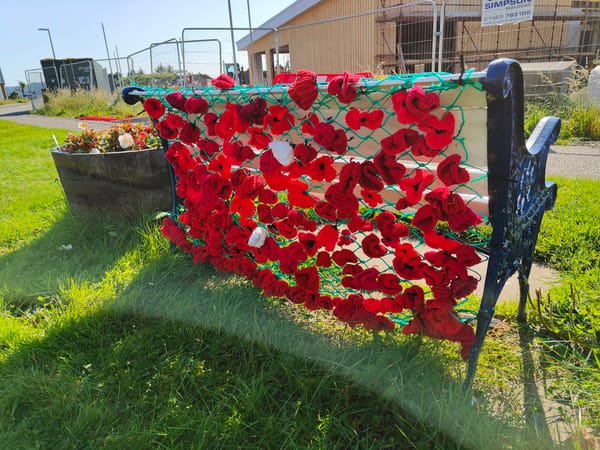 Back to school, VJ poppies and fog bows