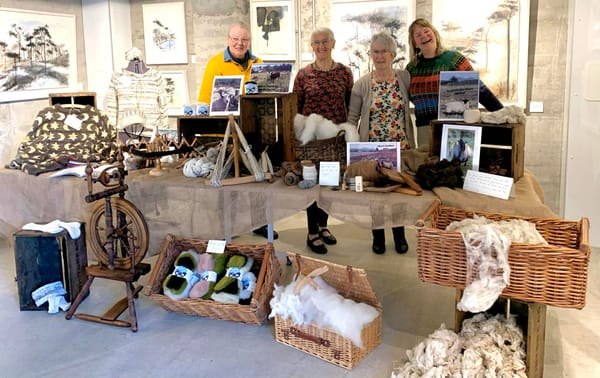 Overside Wool: one year on