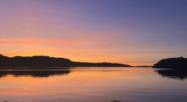 Heating grant scheme goes live and Easter Storm