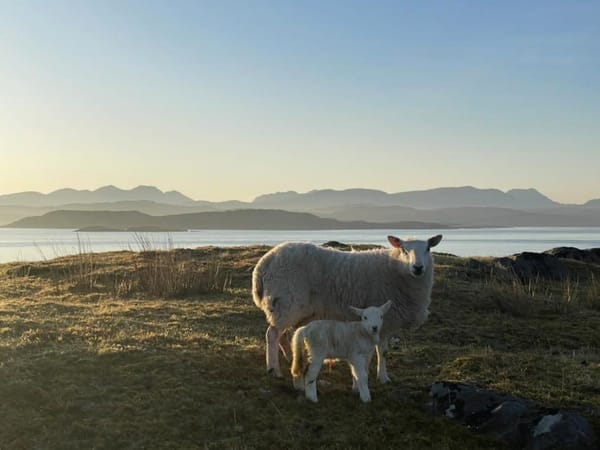 Wester Ross goes to the polls
