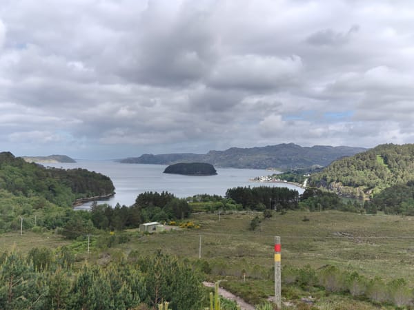 Beehive petition and a new chapter at the Torridon Stores