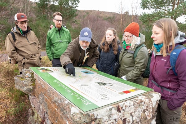 New Visitor Levy plan and SSEN probe rockfall
