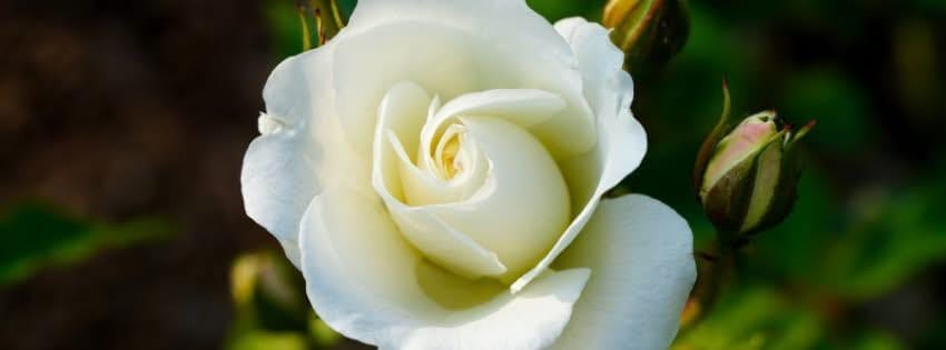 Is despair inevitable? Not if we act with love and hope