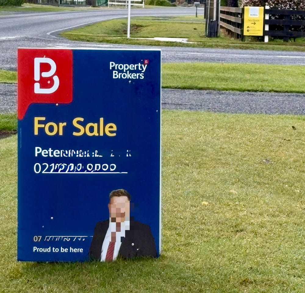 New Zealand's (Well Overdue) Economic Recession