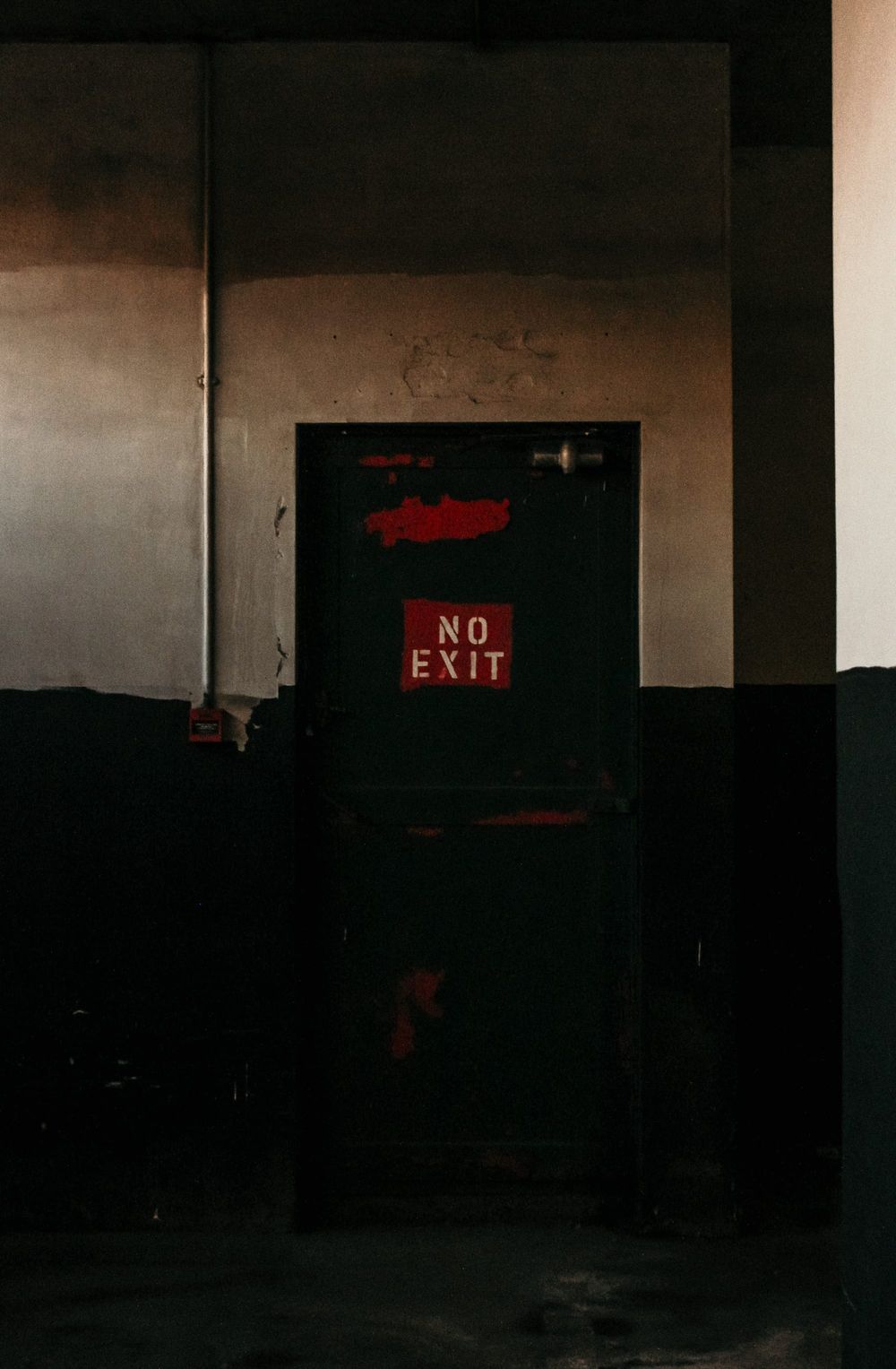 How many 'vaccine' mandate exemptions were granted in New Zealand?