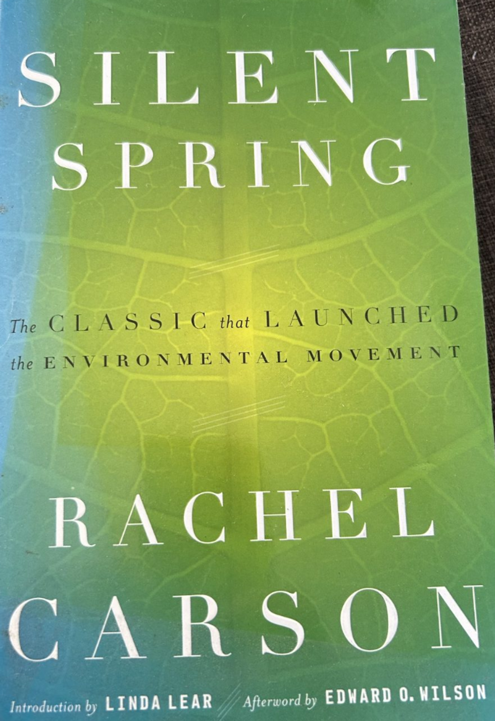 Is it ignorance or evil intent?