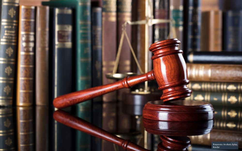 Taxpayer-Funded Lawfare in New Zealand: How much is it costing us?