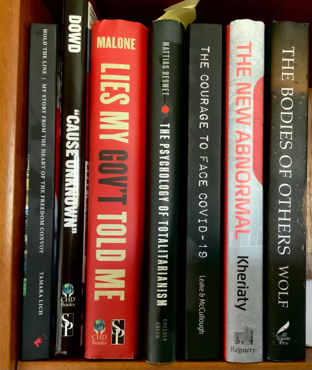 Covid-era books, thoughts on some of my reading...