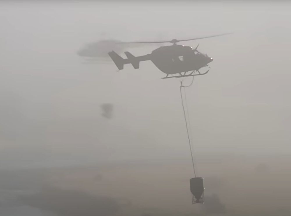 New Zealand's War on Nature and its Military Industrial Conservation Complex