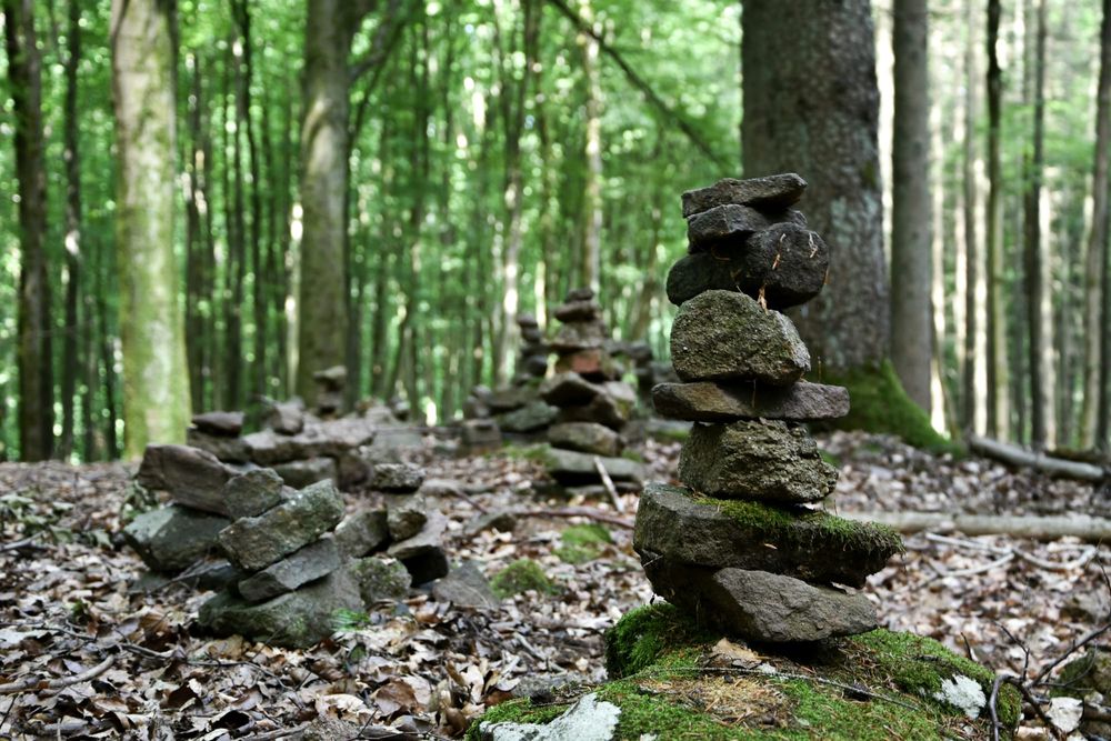 Default and the Power of Silence