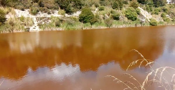 Warkworth's Old Cement Works: a Case Study of Environmental Vandalism & Negligence in NZ