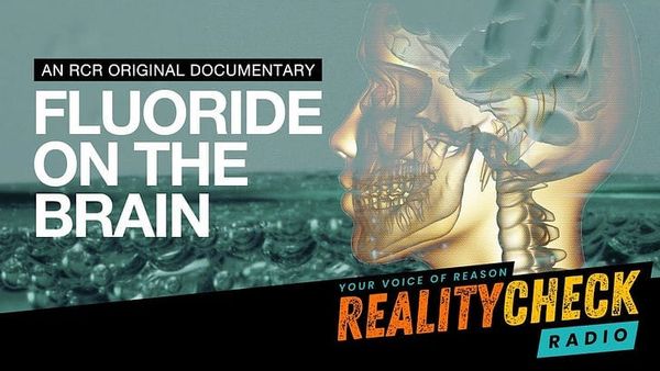 Local is Actually Global: How a small Council in New Zealand got captured by BigChem