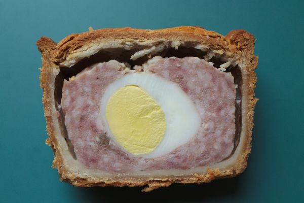 “Even if they [NZ Gov] told us porkie pies, we would just suck it up.” Says QBE, professional indemnity insurance underwriters 