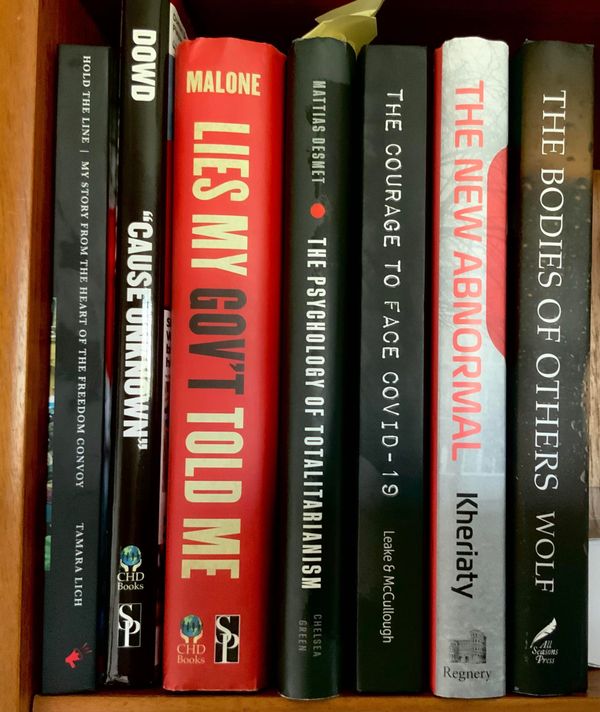 Covid-era books, thoughts on some of my reading...