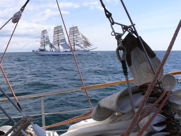 Z-Drag, Saviours and the Scottish Covid Inquiry