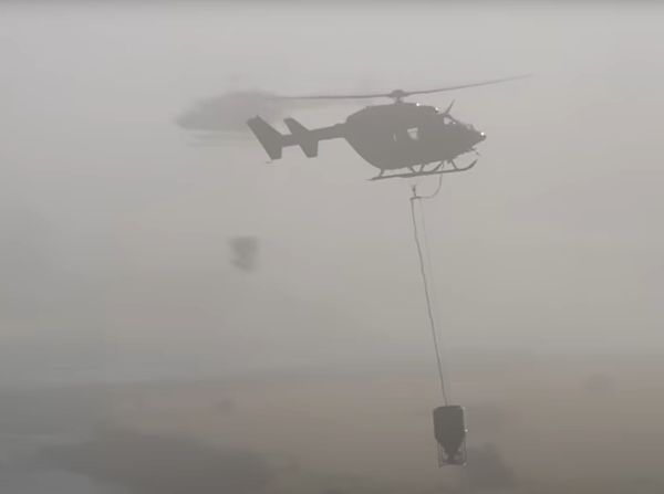 New Zealand's War on Nature and its Military Industrial Conservation Complex