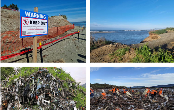 Hidden Dangers: Contamination from Toxic Landfill Sites throughout New Zealand